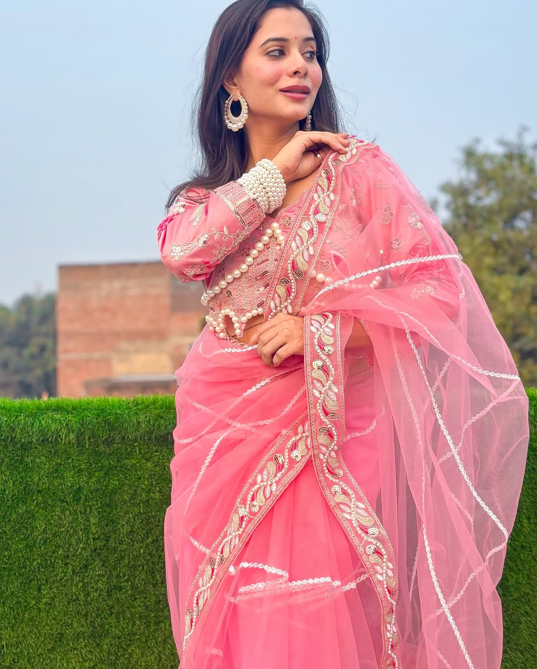 Exquisite Butterfly Net Saree – Intricate Embroidery & Pearl Moti Work