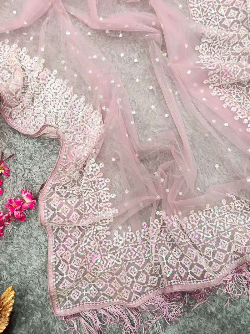 Soft Net Beautiful Sequence Work Light Pink Saree