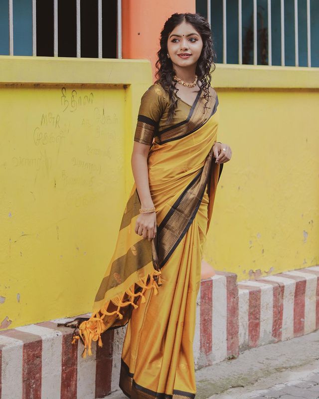 MUSTARD YELLOW WITH BLACK BRODER & BLOUSE WEAVED WITH GOLDEN ZARI