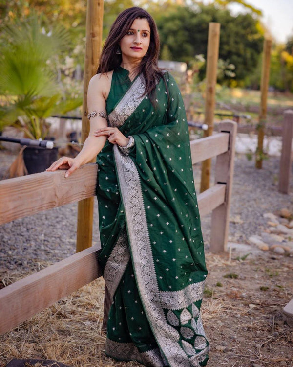 Woven Banarasi Saree with Contrast Border