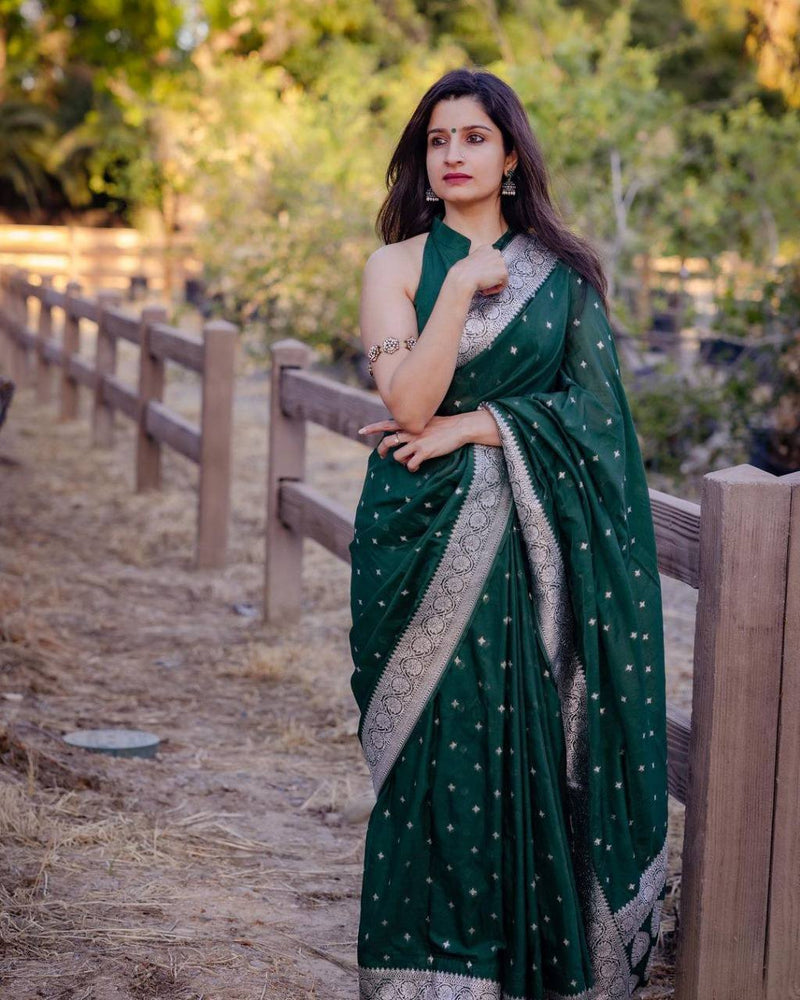 Woven Banarasi Saree with Contrast Border