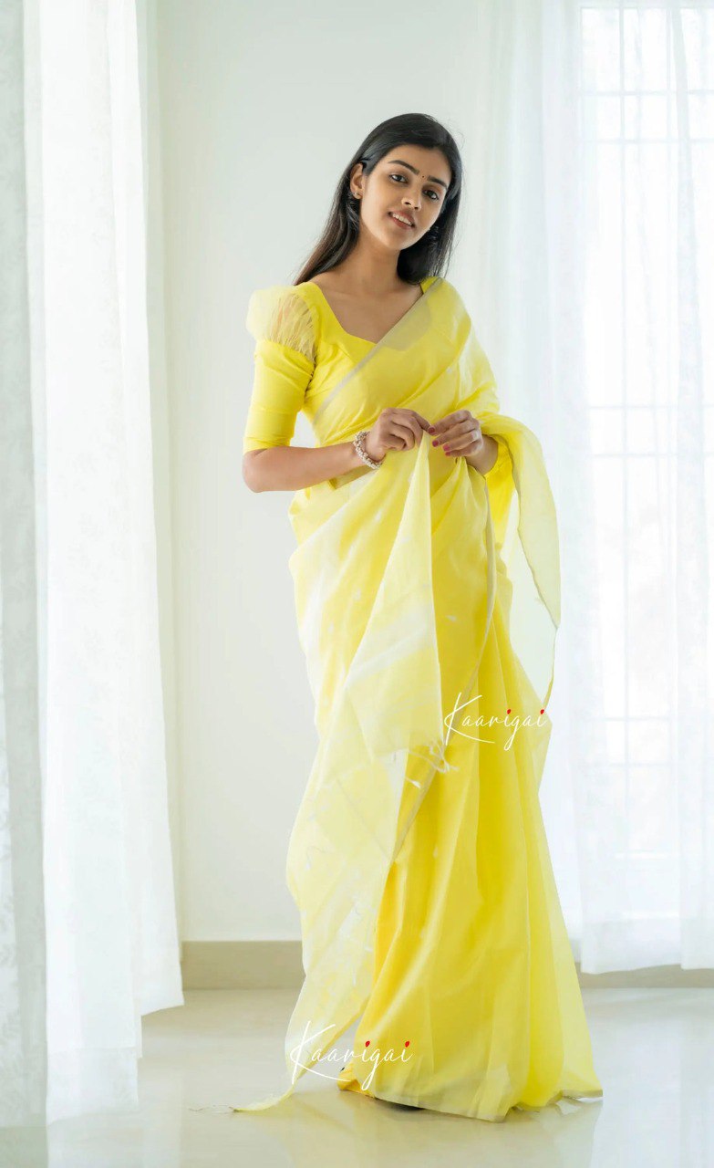 Elegant Contrast Jacquard Lilan Slab Cotton Saree