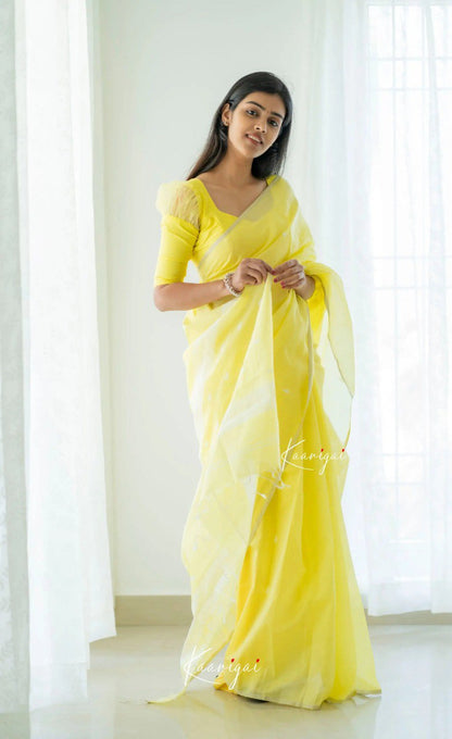 Elegant Contrast Jacquard Lilan Slab Cotton Saree