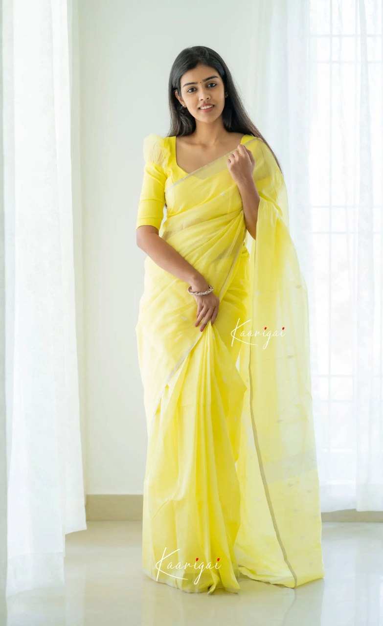 Elegant Contrast Jacquard Lilan Slab Cotton Saree