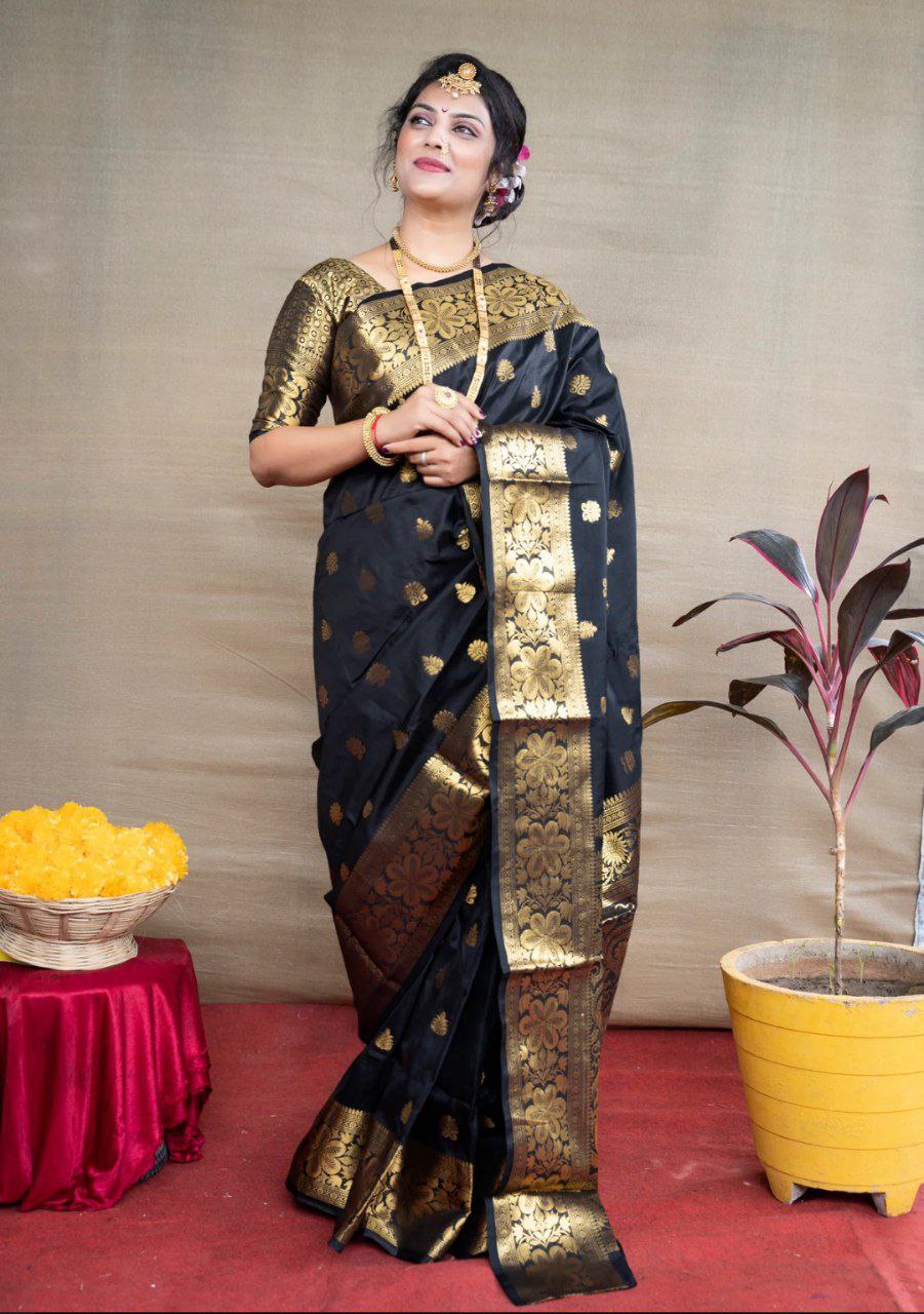 Banarasi Silk Saree in Black